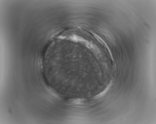 X0000115700182200911251842