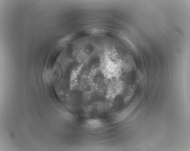 X0000115700189200911251842