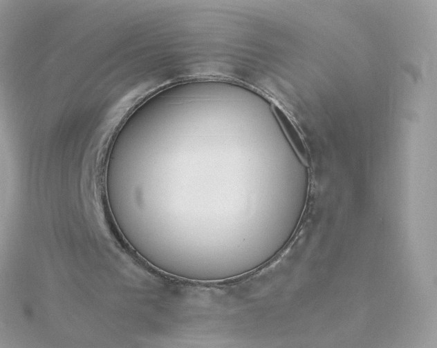 X0000115700193200911251841