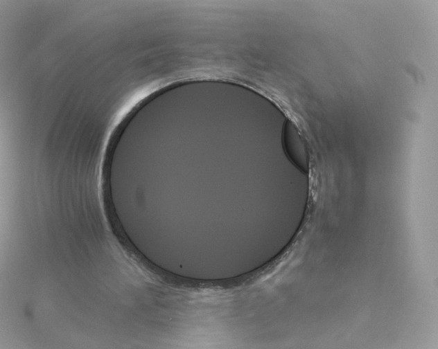 X0000115700196200911251841