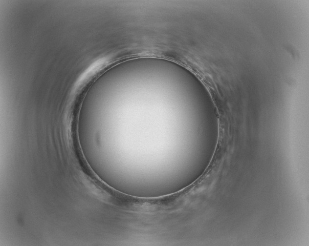 X0000115700197200911251841