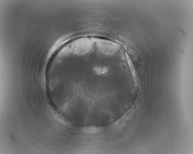 X0000115700198200911251841