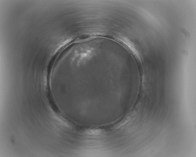 X0000115700202200911251841