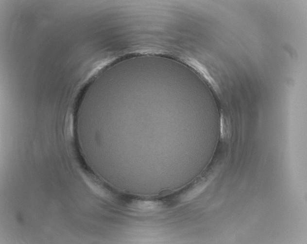 X0000115700205200911251841