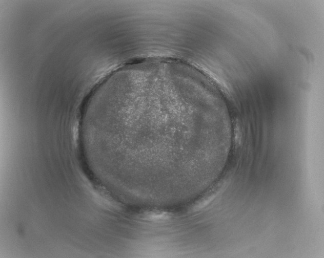 X0000115700206200911251841