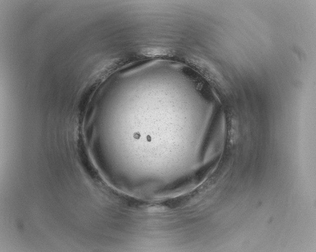 X0000115700210200911251841