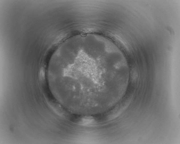 X0000115700214200911251841