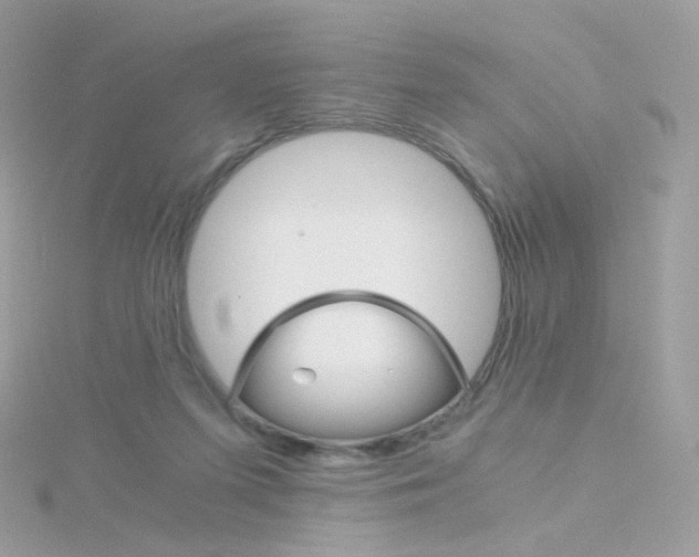 X0000115700215200911251841