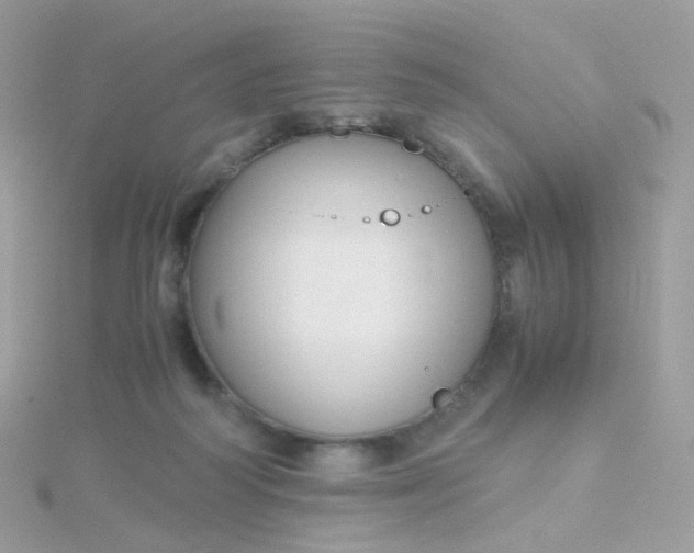 X0000115700218200911251841