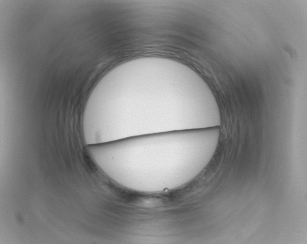 X0000115700220200911251841