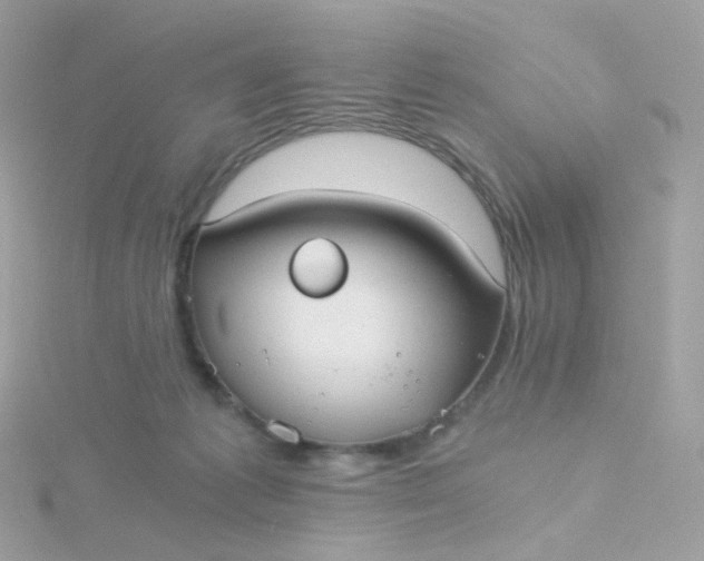 X0000115700221200911251841