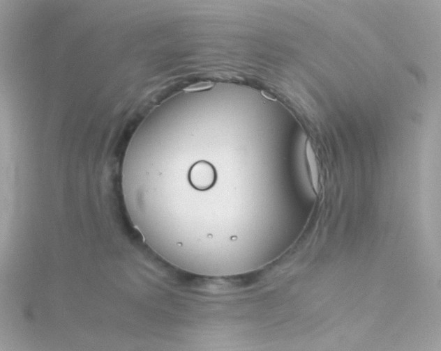 X0000115700229200911251841