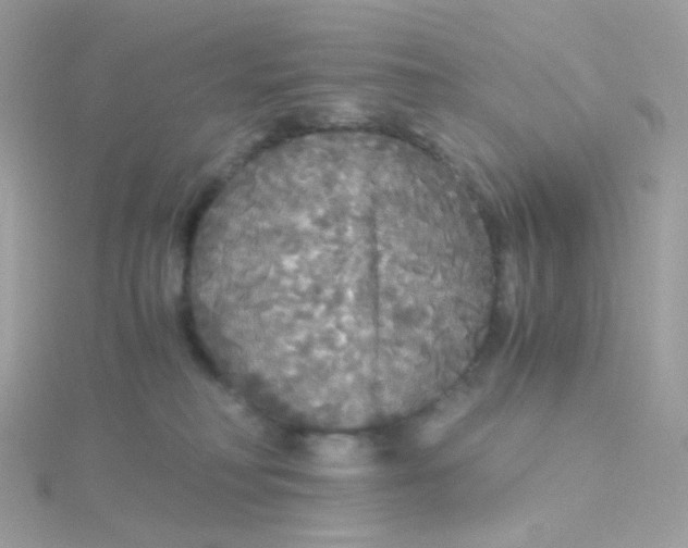 X0000115700230200911251841