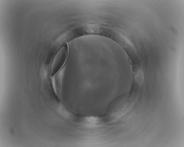 X0000115700233200911251841