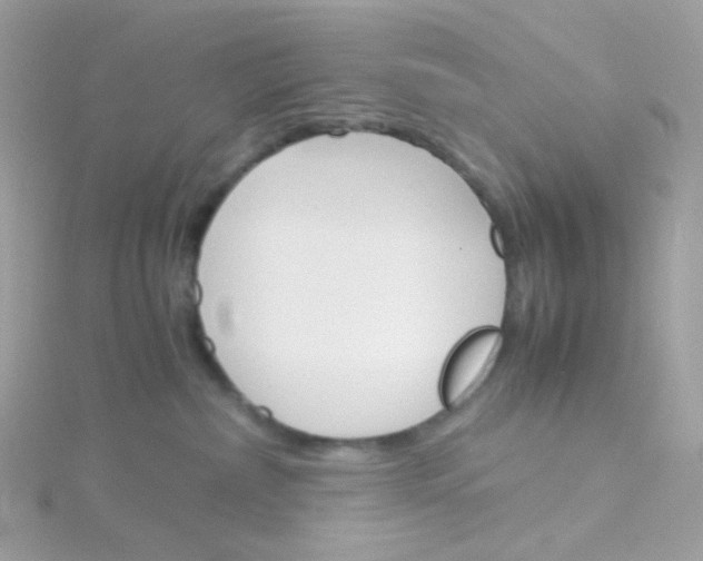 X0000115700236200911251841