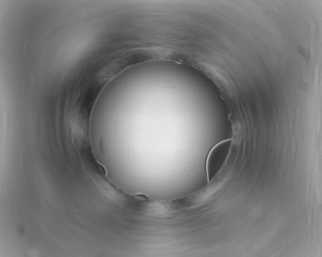 X0000115700238200911251841