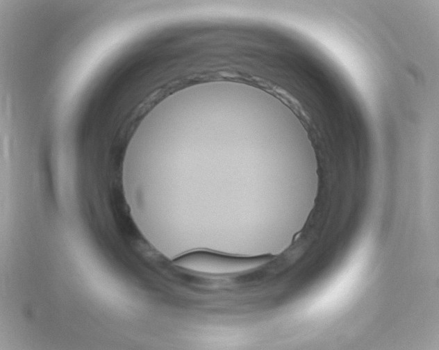 X0000115700239200911251841