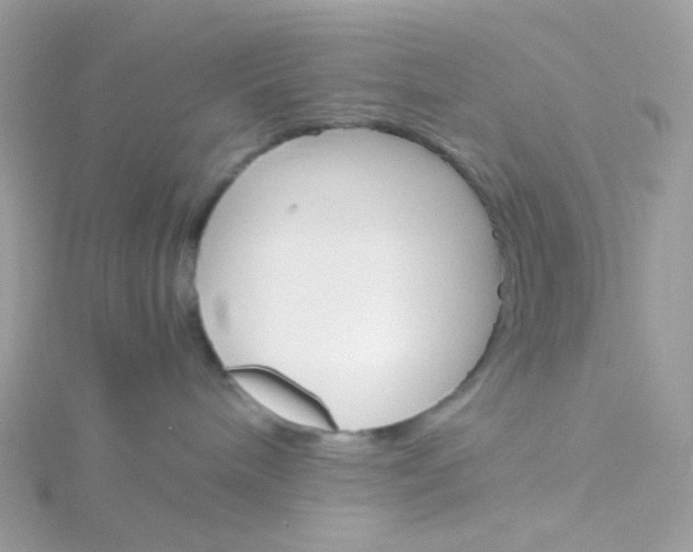 X0000115700240200911251841