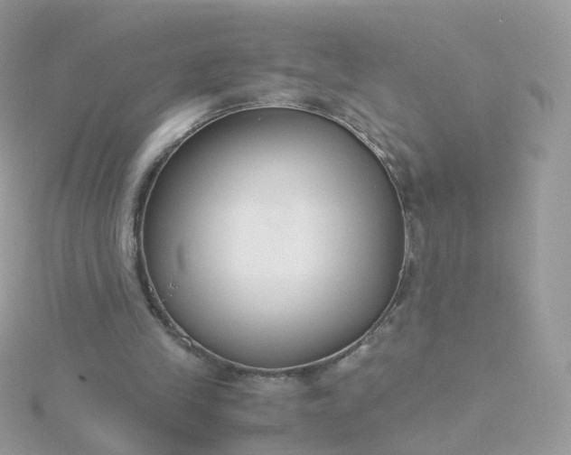 X0000115700245200911251840