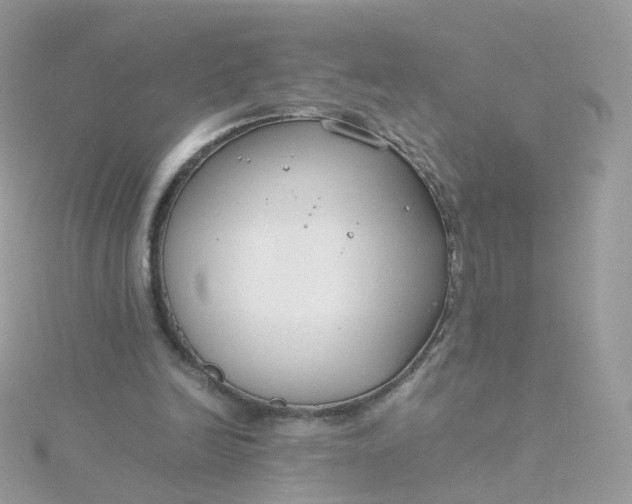 X0000115700246200911251840