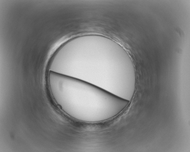 X0000115700248200911251840