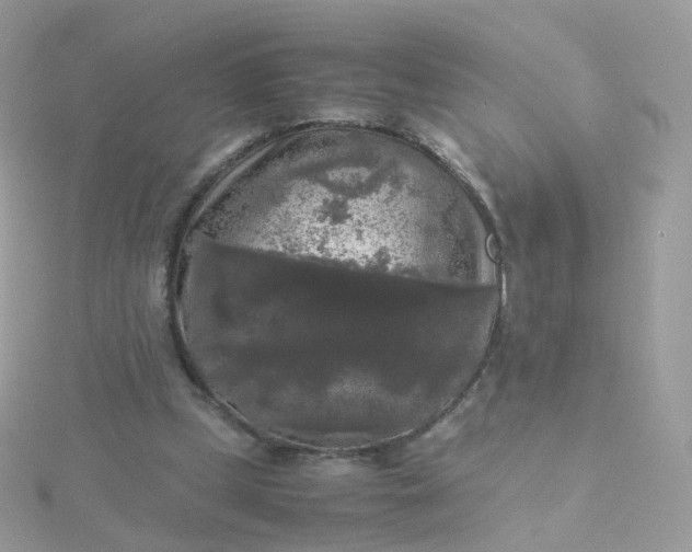 X0000115700249200911251840