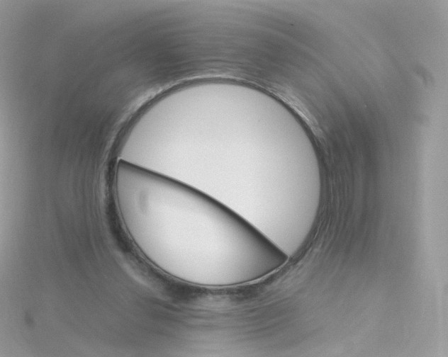 X0000115700252200911251840