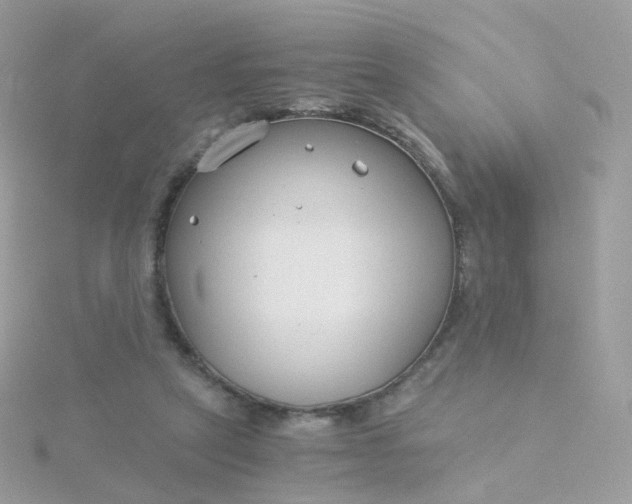 X0000115700257200911251840