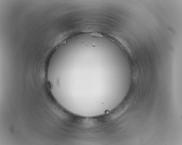 X0000115700261200911251840