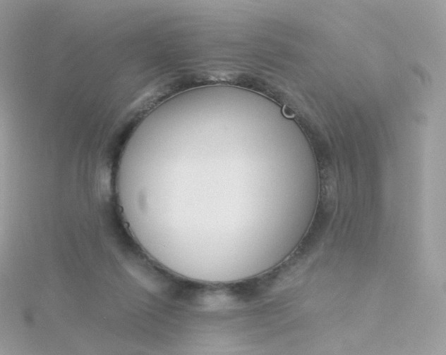 X0000115700262200911251840