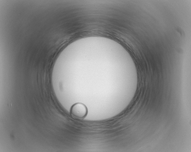 X0000115700268200911251840