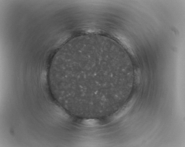 X0000115700269200911251840