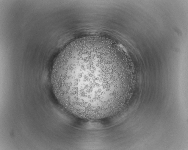 X0000115700270200911251840