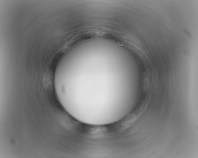 X0000115700274200911251840