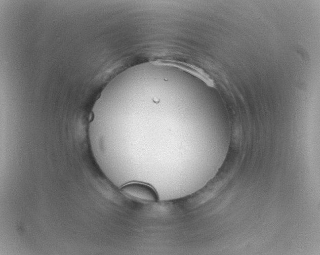 X0000115700282200911251841