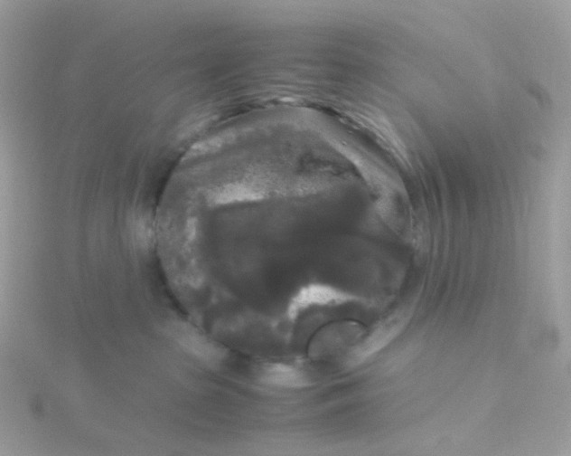 X0000115700285200911251841