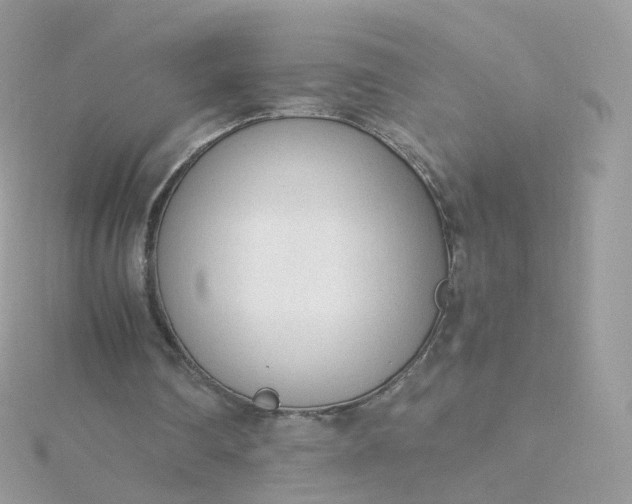 X0000115700290200911251840