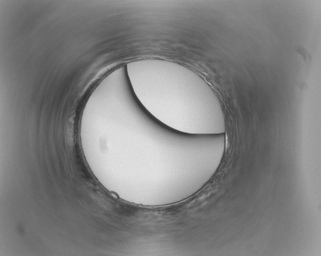 X0000115700291200911251840