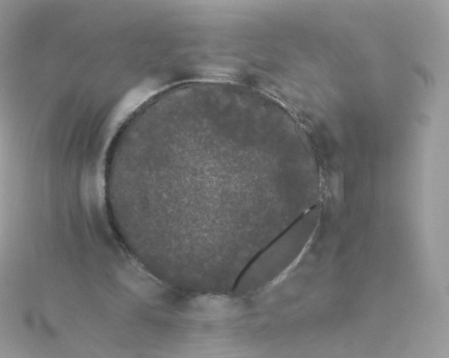 X0000115700294200911251840