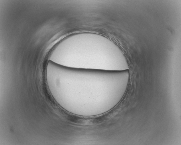 X0000115700295200911251840