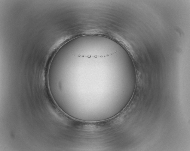 X0000115700298200911251840