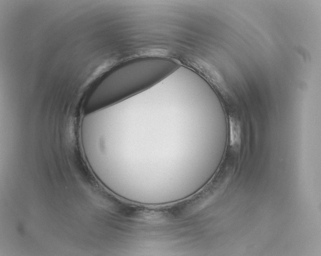 X0000115700300200911251840