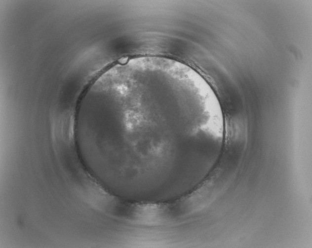 X0000115700301200911251840