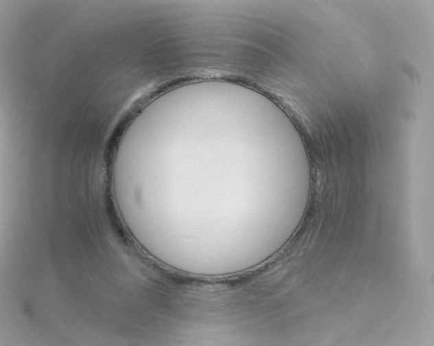 X0000115700304200911251840