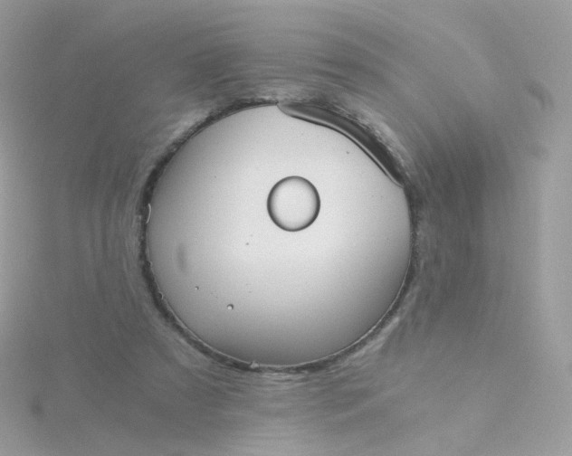 X0000115700305200911251840