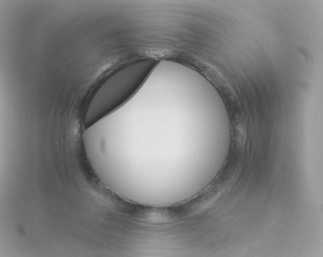 X0000115700308200911251840