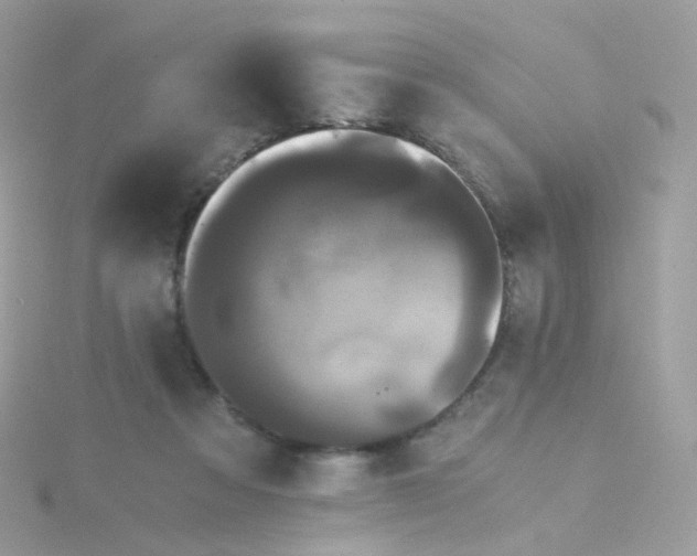 X0000115700313200911251840