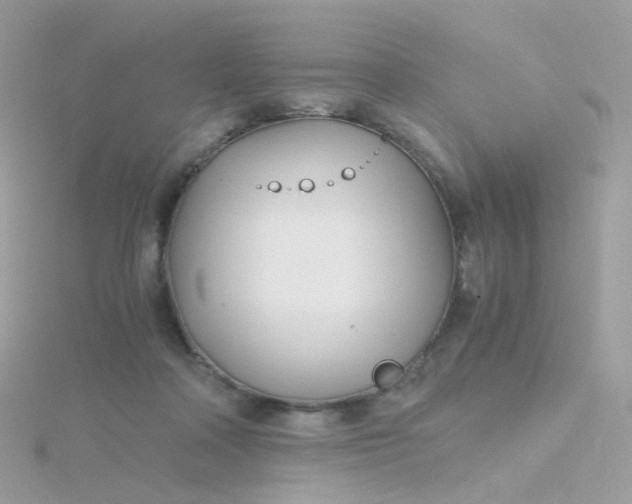 X0000115700314200911251840