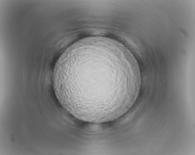 X0000115700325200911251840