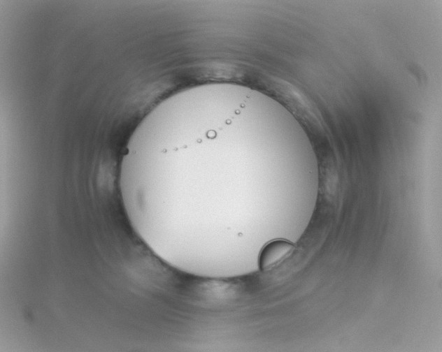 X0000115700326200911251839